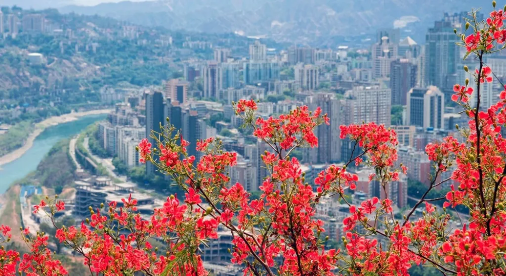 今日体育(亚洲联赛)常州拼搏攀枝花-行家点评 今日体育(亚洲联赛)常州拼搏攀枝花-行家点评