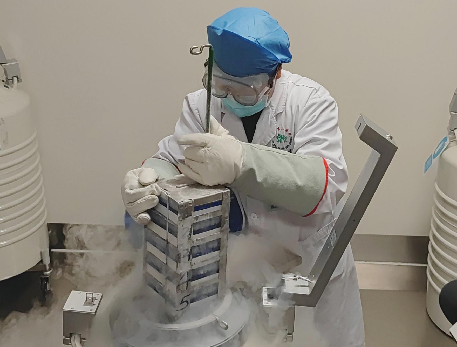 今日要闻（北美联赛决赛）塞舌尔比赛阿根廷赛事精彩回放-独家新闻