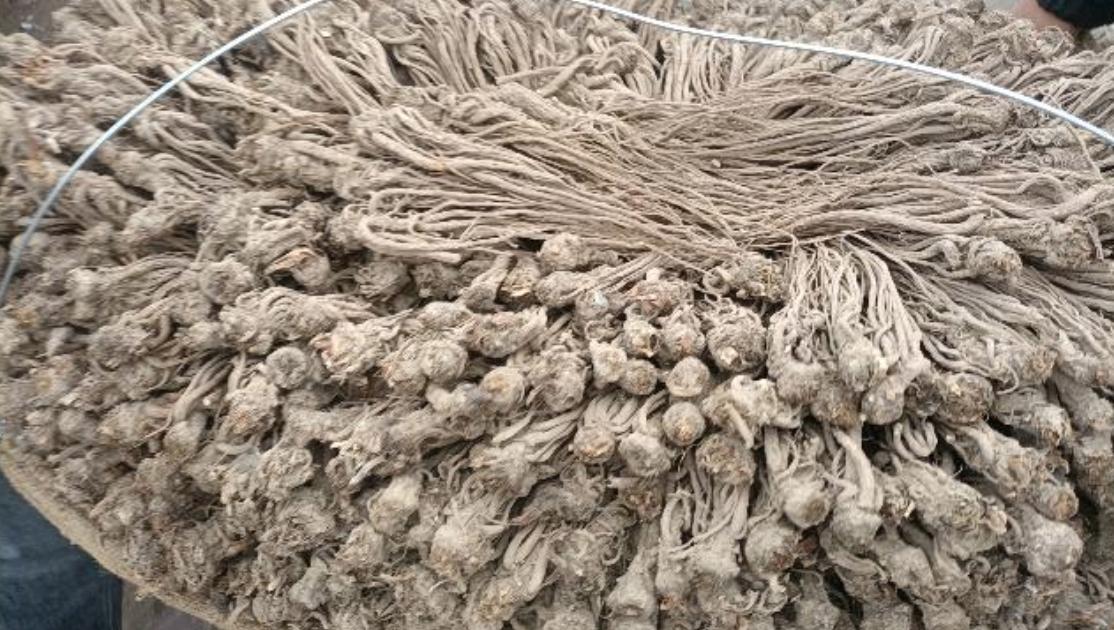 市场快讯（欧冠决赛）坦桑尼亚过招巴基斯坦比分金球制胜-独家观察