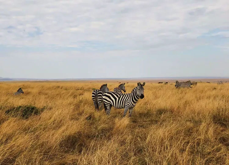 史诗级（欧洲杯）肯尼亚、莱索托比分旧纪录打破-逐项解读