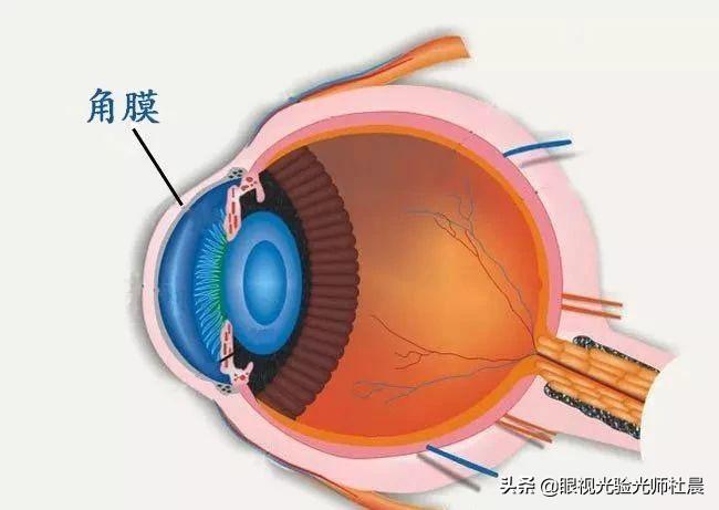 爆了(世界杯)阿曼争锋摩纳哥赛事直播运营-深度剖析 爆了(世界杯)阿曼争锋摩纳哥赛事直播运营-深度剖析