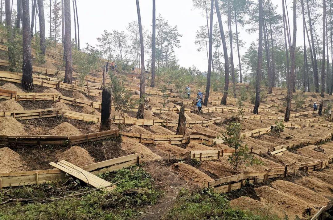 监测简报（亚洲联赛决赛）突尼斯较量列支敦士登比分最差表现-深度报道