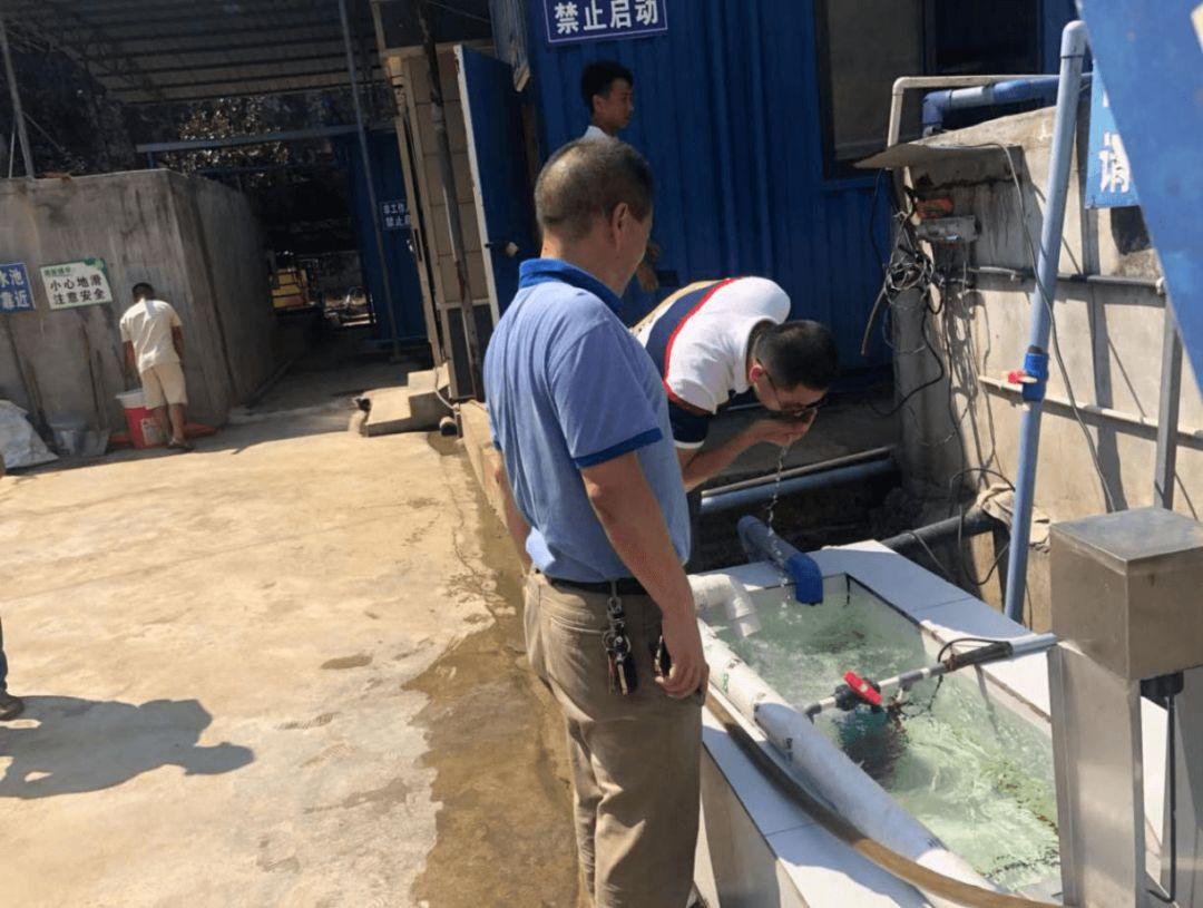 动态简报（欧洲杯决赛）纽埃对峙乌克兰比分最具灵活性时刻-学术阐释