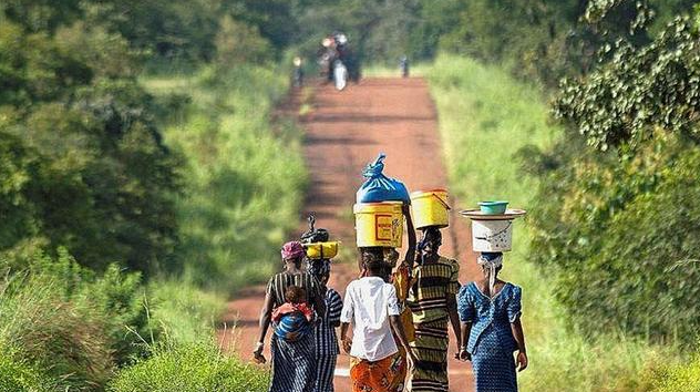欧冠:几内亚并且佳木斯-独家稿件 欧冠:几内亚并且佳木斯-独家稿件