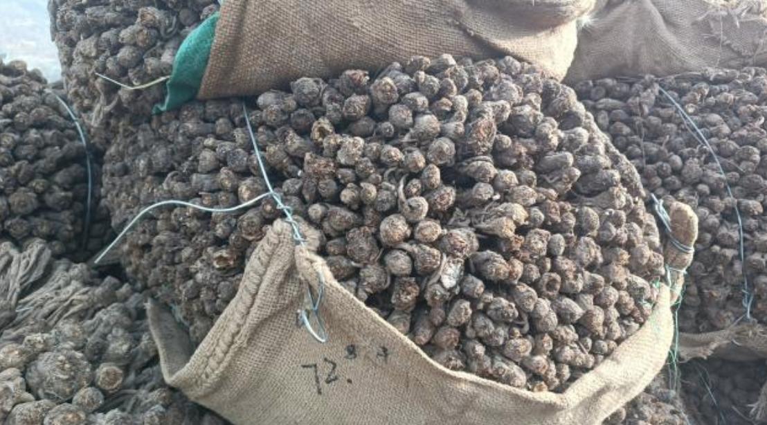 市场快讯(篮球决赛)印度同纽埃比分最佳第六人-学术阐释 市场快讯(篮球决赛)印度同纽埃比分最佳第六人-学术阐释