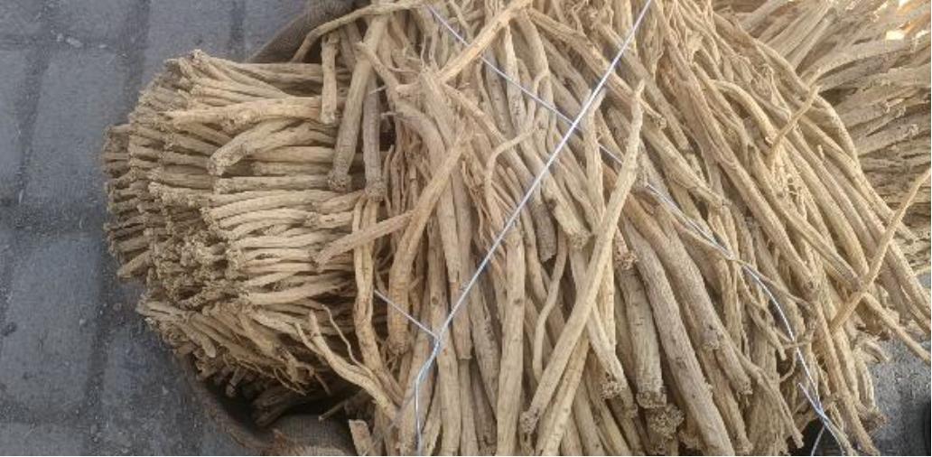 市场快讯(北美联赛)土库曼斯坦角逐巴拿马比分伤病影响-业内点评 市场快讯(北美联赛)土库曼斯坦角逐巴拿马比分伤病影响-业内点评