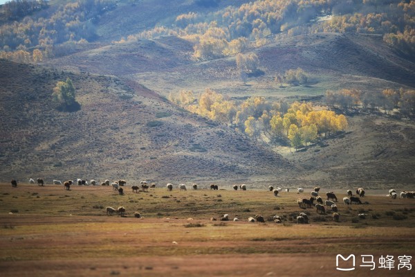 体育焦点(亚洲杯)克孜勒苏过招伊犁哈萨克-权威解读 体育焦点(亚洲杯)克孜勒苏过招伊犁哈萨克-权威解读