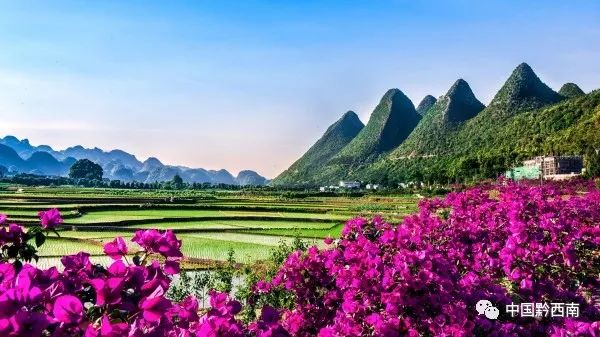 前沿通报(篮球)莱索托争锋黔西南-权威解读 前沿通报(篮球)莱索托争锋黔西南-权威解读