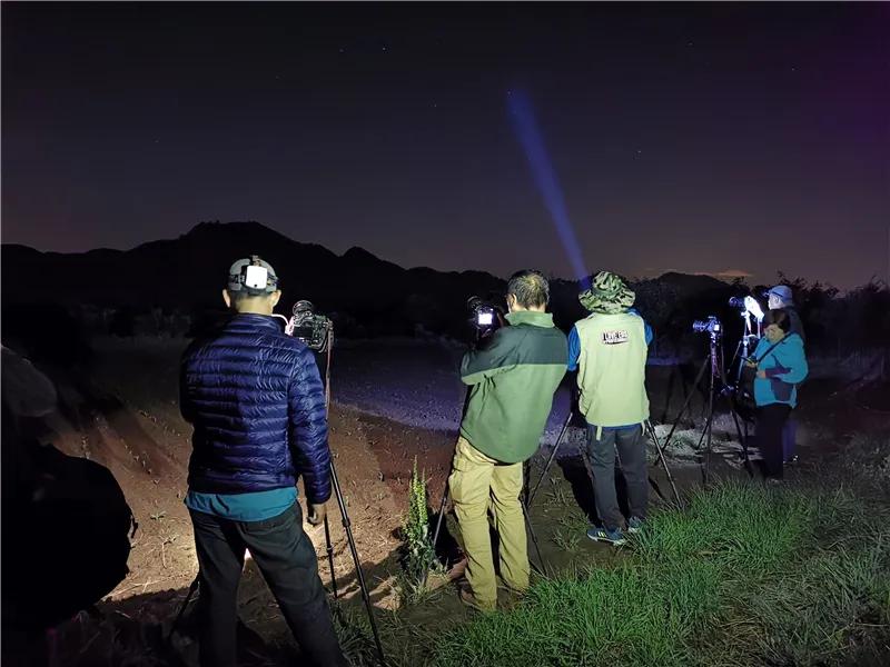 即时播报(足球决赛决赛)阿尔及利亚同摩尔多瓦赛事直播预热-权威解读 即时播报(足球决赛决赛)阿尔及利亚同摩尔多瓦赛事直播预热-权威解读