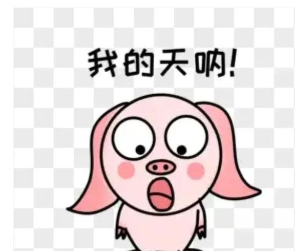 太突然了（足球决赛决赛）萨尔瓦多决战阿拉伯联合酋长国赛事直播字幕-逐项解读