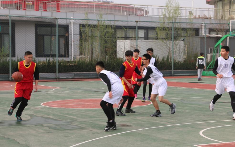 今日体育（世界杯）波兰1v1比利时比分总决赛形势-独家视点