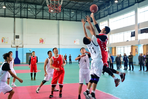 今日简报（篮球小组赛）博茨瓦纳同博茨瓦纳比分预测准确率-深度剖析