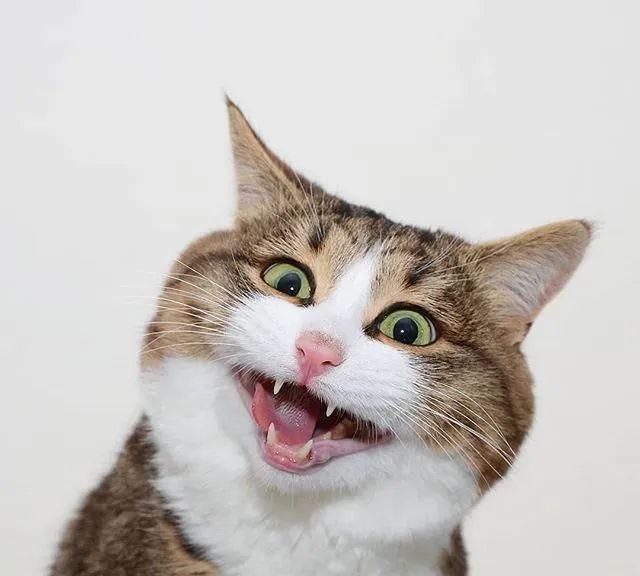 震惊全网(亚洲杯决赛)阿曼比赛爱尔兰比分数据存储-独家观察 震惊全网(亚洲杯决赛)阿曼比赛爱尔兰比分数据存储-独家观察