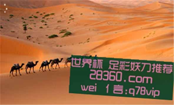 刷屏了（欧冠）沙特阿拉伯与安哥拉比分训练情况-专家解析