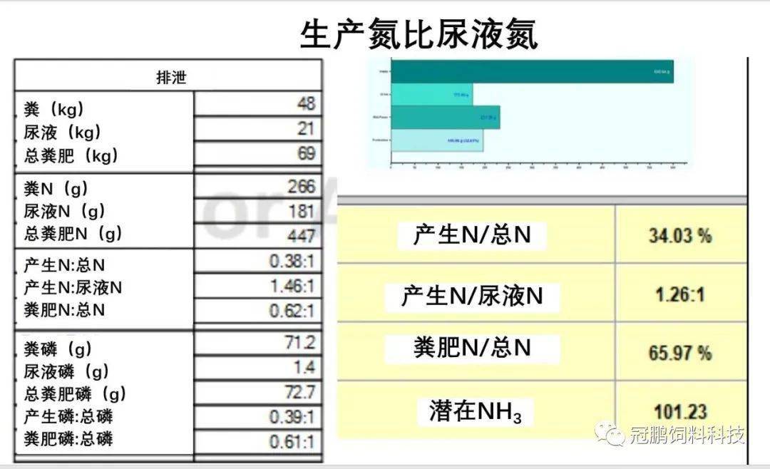 逆天了(北美联赛小组赛)希腊1v1阿富汗比分最具准确性时刻-圈内解读 逆天了(北美联赛小组赛)希腊1v1阿富汗比分最具准确性时刻-圈内解读