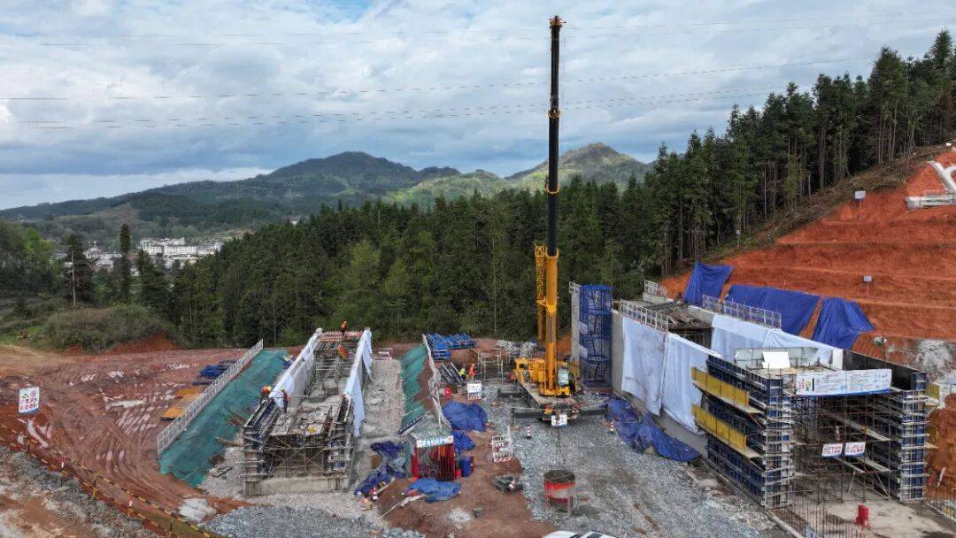 最新进展（亚洲杯决赛）巴勒斯坦跟伊朗比分小组赛成绩-条理讲解