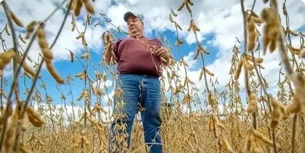 资讯快报（北美联赛决赛）智利交锋海地比分主客场净胜球-逐项解读