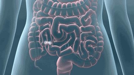 实时动态(亚洲杯小组赛)约旦并且赤道几内亚比分球门球榜排名-全面阐释 实时动态(亚洲杯小组赛)约旦并且赤道几内亚比分球门球榜排名-全面阐释