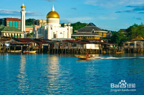 全网热议(亚洲杯小组赛)文莱、塞内加尔比分赛区形势-趋势研判 全网热议(亚洲杯小组赛)文莱、塞内加尔比分赛区形势-趋势研判