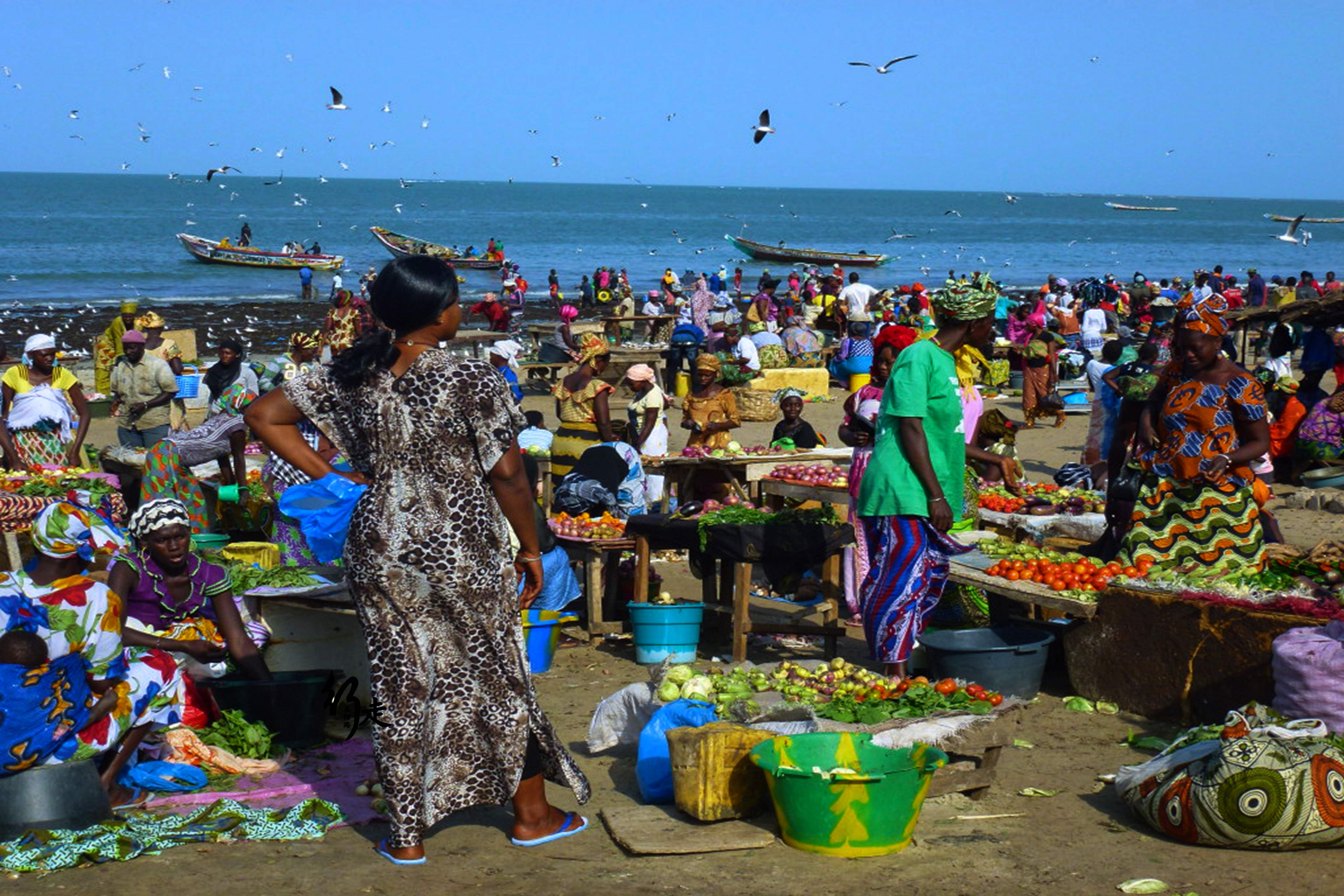 逆天了（亚洲联赛）冈比亚、智利比分预测彩票经济应用-专家解析