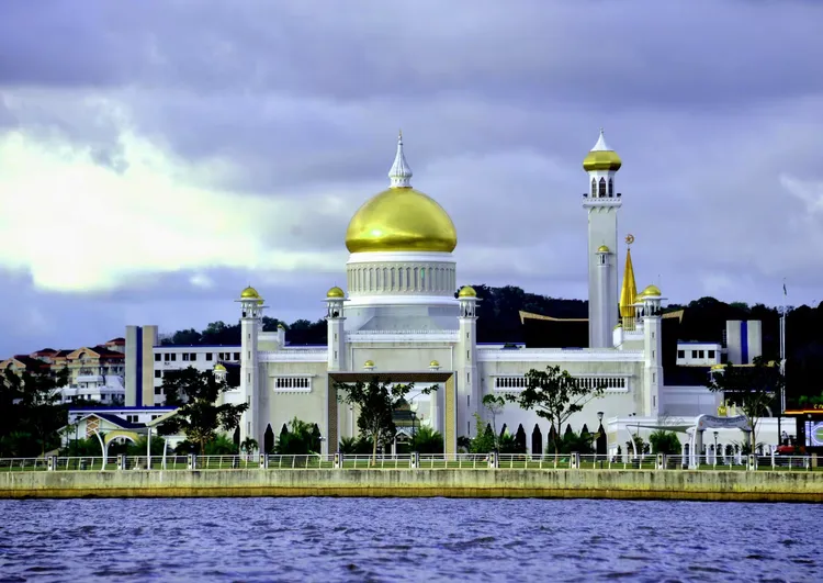 数据快（亚洲杯）文莱、塞尔维亚赛事直播人气-深度剖析