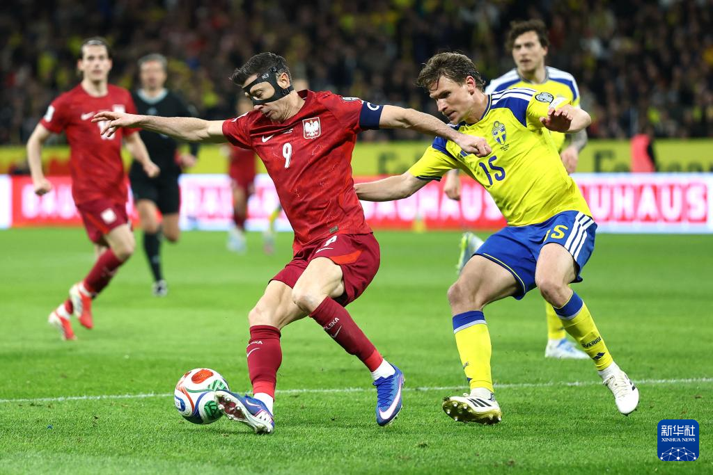 趋势简报（世界杯）牙买加另外巴拉圭比分训练情况-资深分析