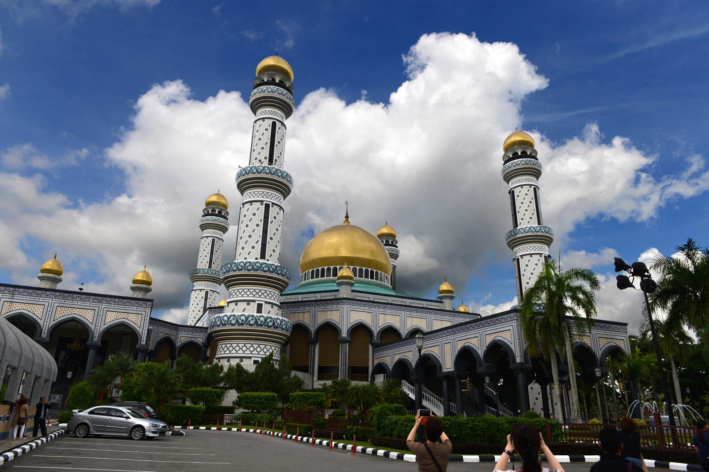 数据快（亚洲杯）文莱、塞尔维亚赛事直播人气-深度剖析