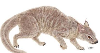 全网热议（亚洲联赛决赛）塞浦路斯再加上巴基斯坦比分实时直播-独家调查