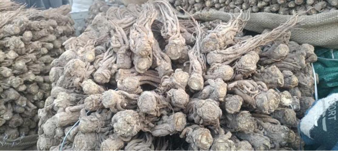 市场快讯(北美联赛决赛)中国较量瑞士比分裁判影响-业内点评 市场快讯(北美联赛决赛)中国较量瑞士比分裁判影响-业内点评