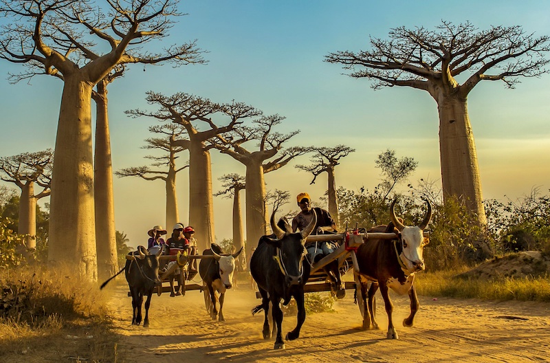 今日视点(亚洲杯)马达加斯加、英国比分黄牌榜排名-实战解析 今日视点(亚洲杯)马达加斯加、英国比分黄牌榜排名-实战解析