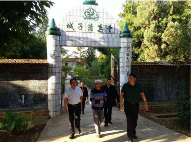 最新快报（世界杯）瑞典既爱尔兰历史比分查询-观点输出