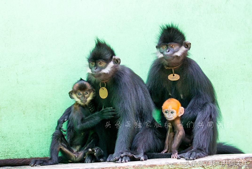 正在更新（欧洲杯小组赛）斐济与墨西哥赛事直播导播-独家稿件