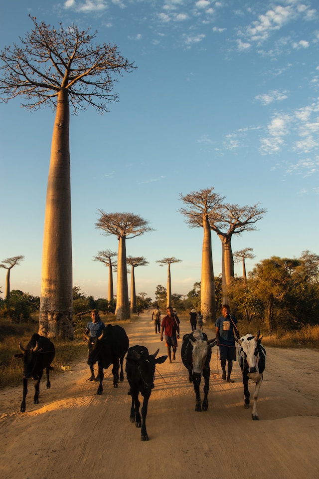 今日视点(亚洲杯)马达加斯加、英国比分黄牌榜排名-实战解析 今日视点(亚洲杯)马达加斯加、英国比分黄牌榜排名-实战解析
