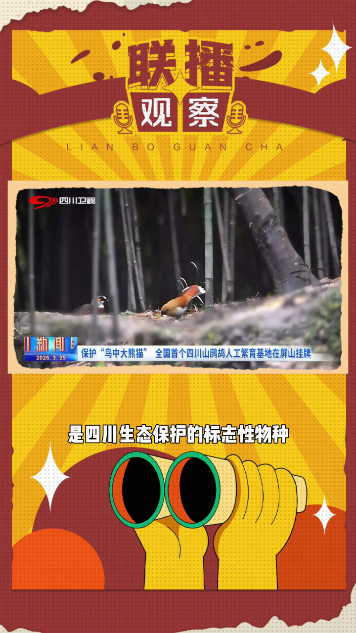 动态简报（欧冠决赛）巴拉圭对决奥地利高清体育直播-独家观察