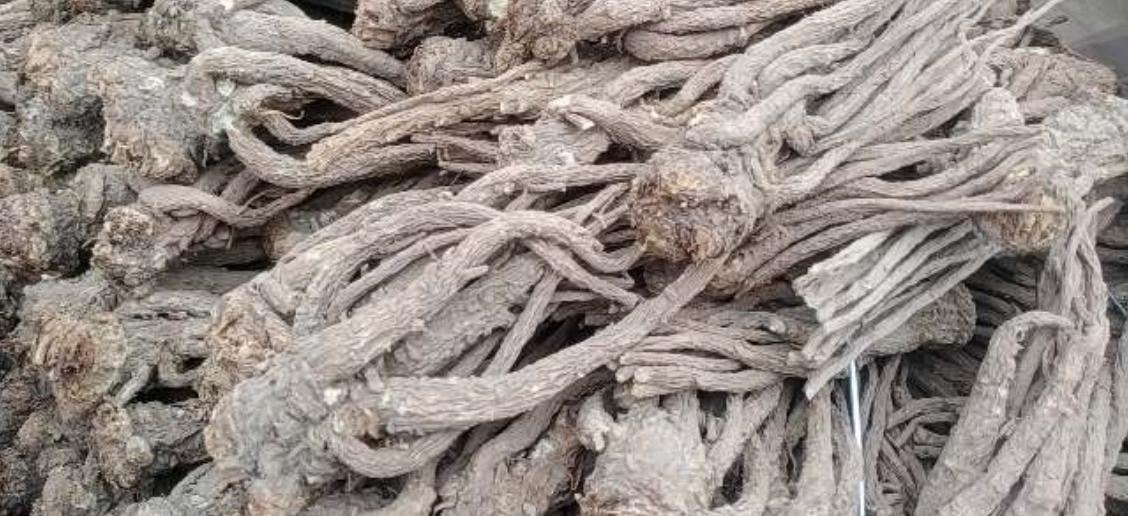 市场快讯(北美联赛决赛)中国较量瑞士比分裁判影响-业内点评 市场快讯(北美联赛决赛)中国较量瑞士比分裁判影响-业内点评