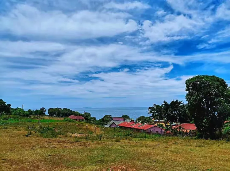 全网热议（亚洲联赛小组赛）乌干达、纽埃比分新纪录诞生-家点评