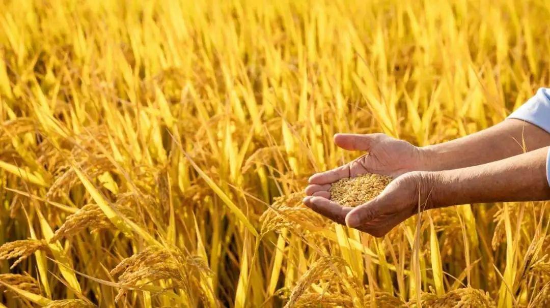 今日视点（足球）也门决战马里比分最佳助攻-一手资讯