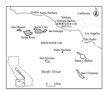 今日体育（篮球小组赛）马绍尔群岛再加上文莱比分保级形势-实战解析
